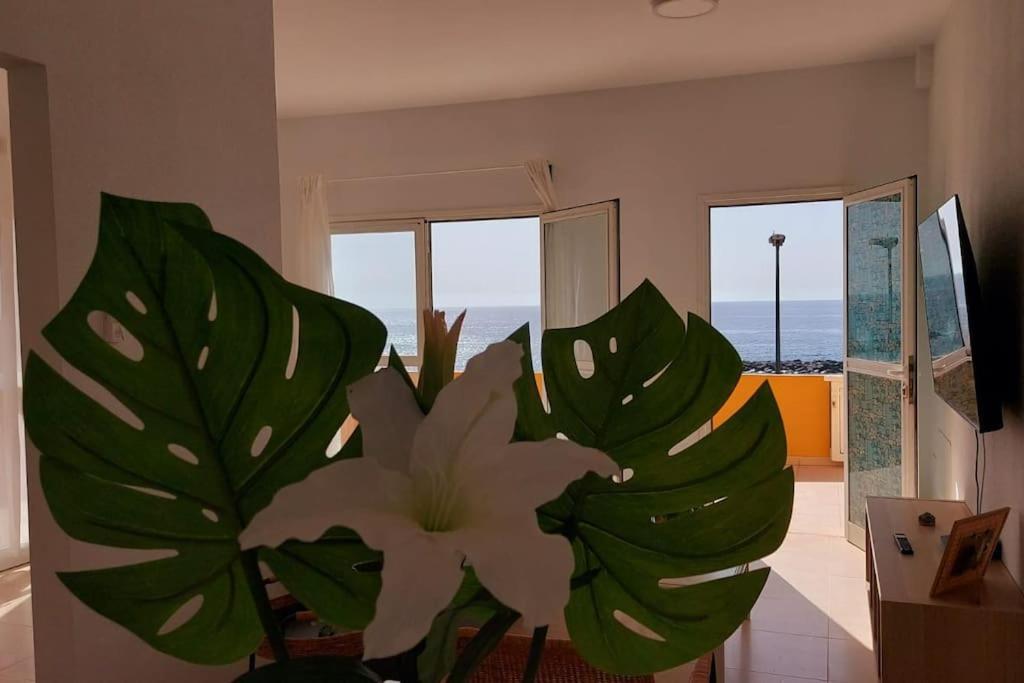 La Marea Baja Daire Puertito de Guimar Dış mekan fotoğraf